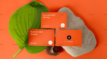 demo-attachment-1632-5q71up9s